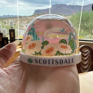 Scottsdale Snow Globe with cactus Design